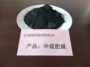 中硫肥煤